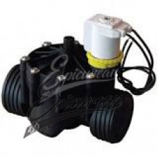 Electric check valve