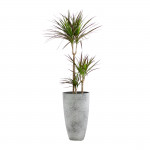 Plant-pot combination